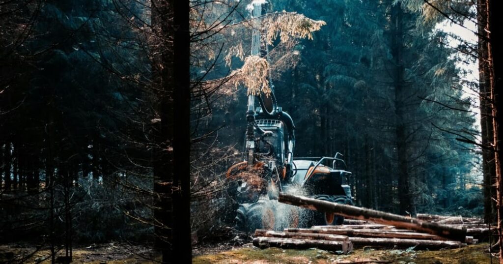 TFFF Fondo Bosques Tropicales para Siempre