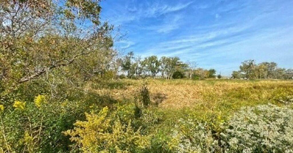 Indian Ridge Marsh