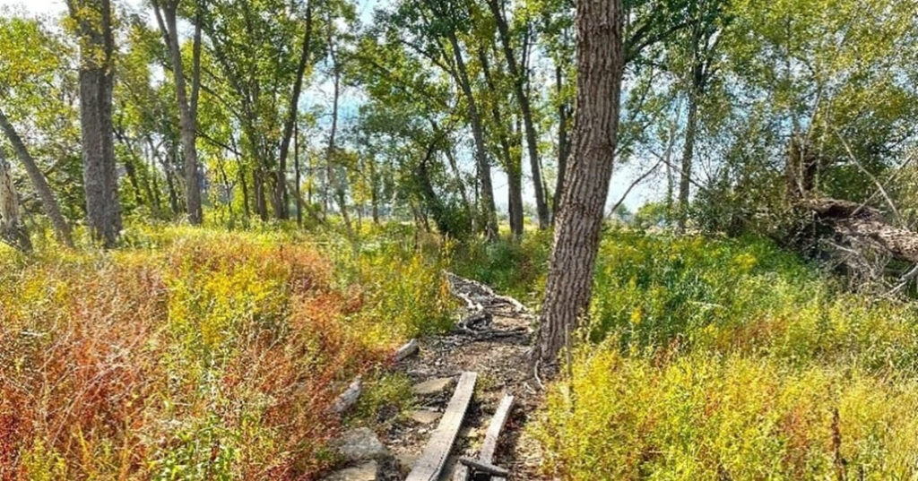 Indian Ridge Marsh