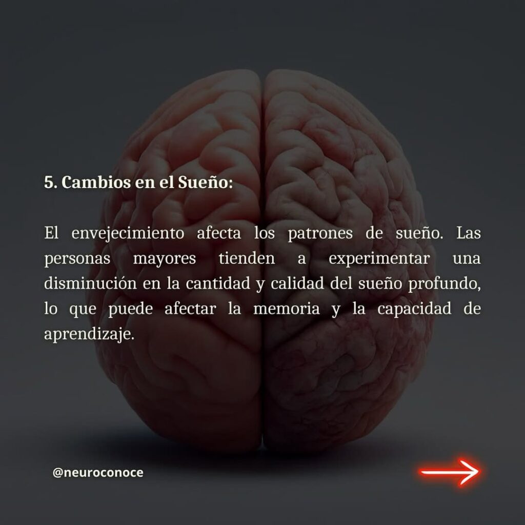 Avances en enurociencia