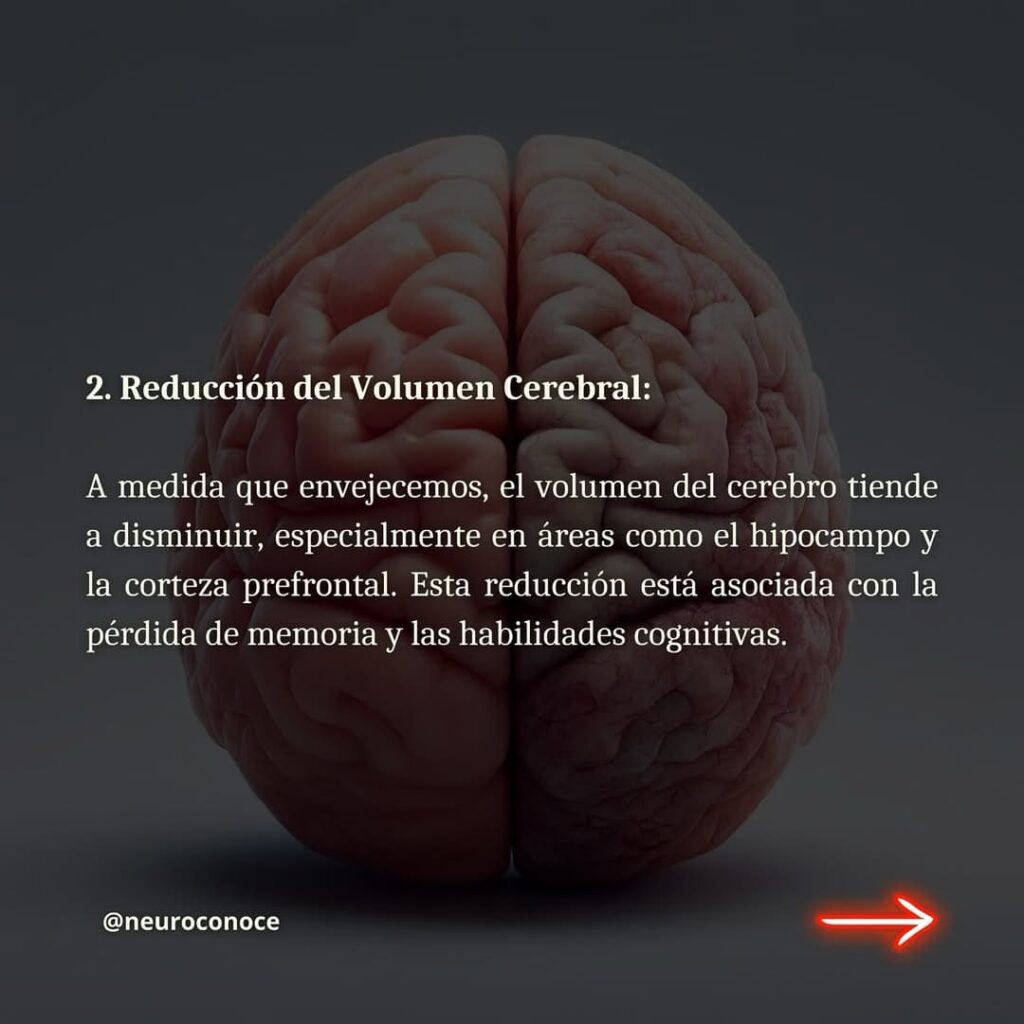 Avances en enurociencia