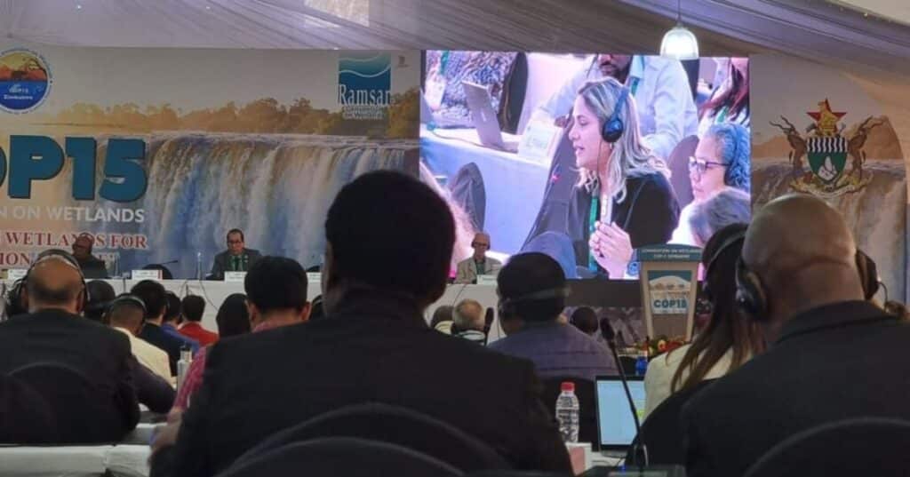 Panamá en la COP16