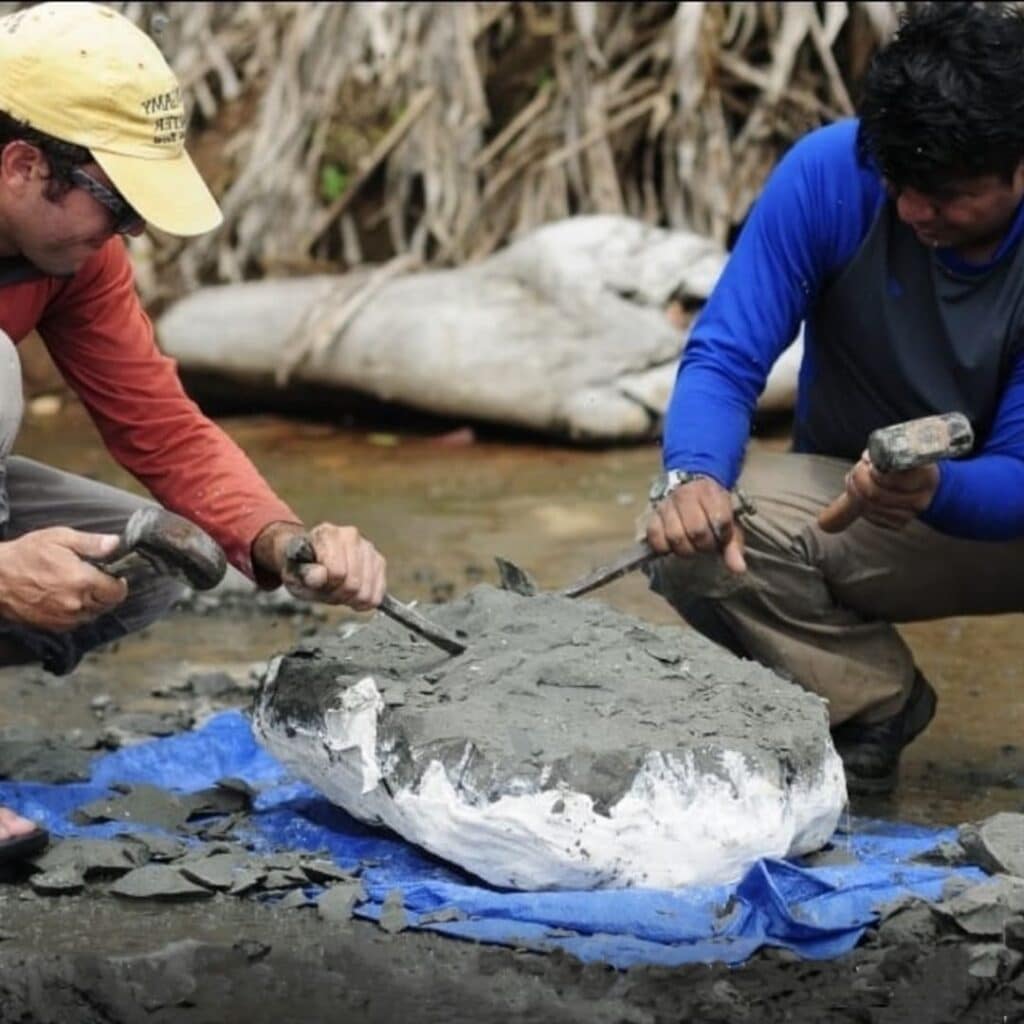 paleontólogo Carlos De Gracia