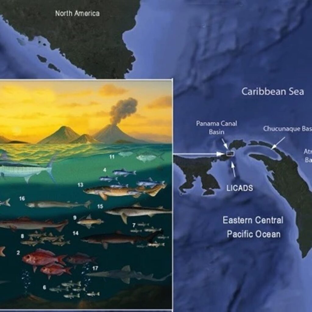 paleontólogo Carlos De Gracia