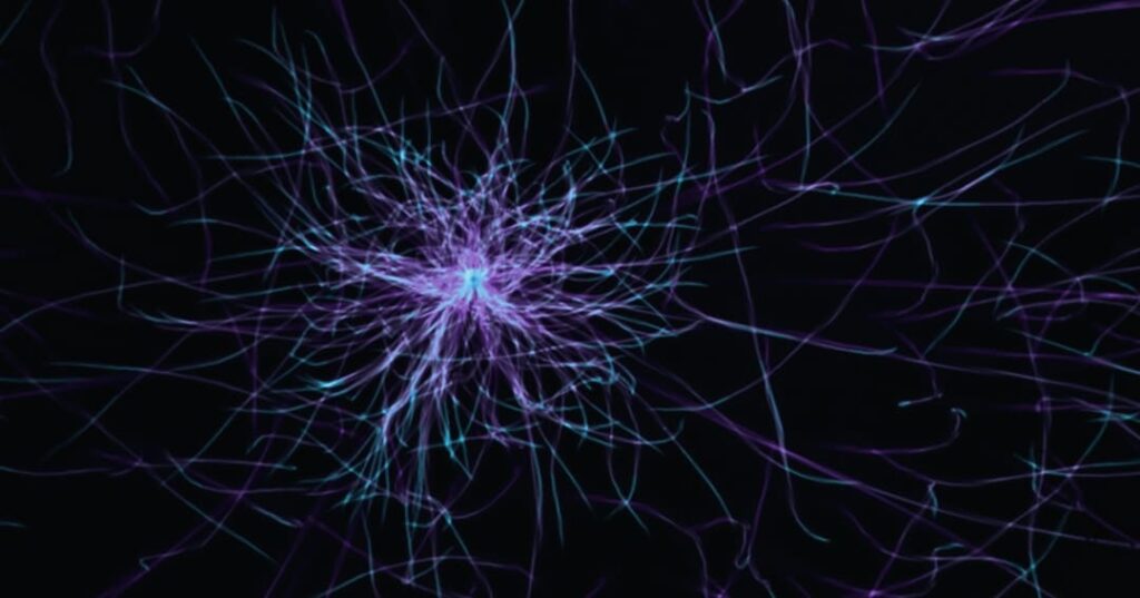 Geometria Cerebral 1