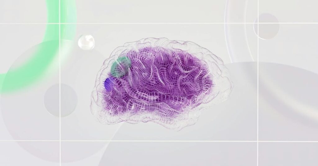 Geometría Cerebral