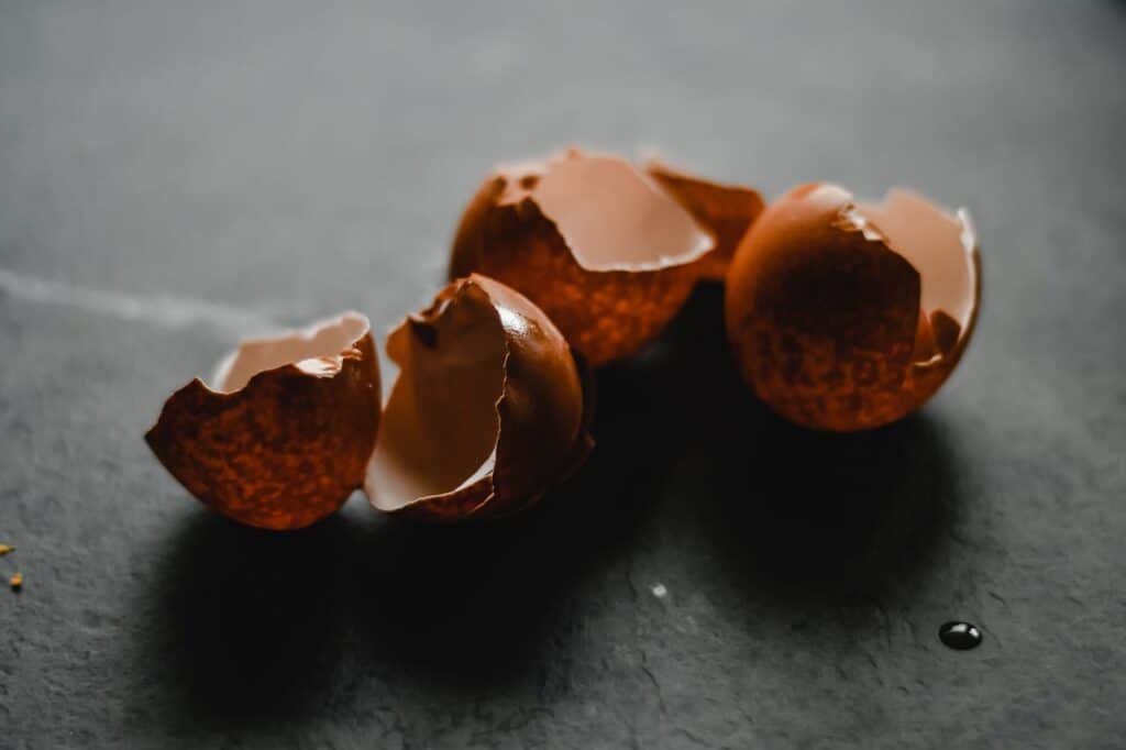 Reciclaje de Compostable - Foto de Eva Bronzini
