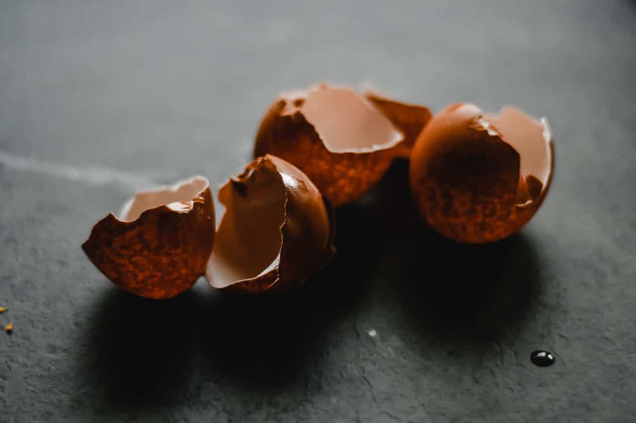Reciclaje de Compostable - Foto de Eva Bronzini