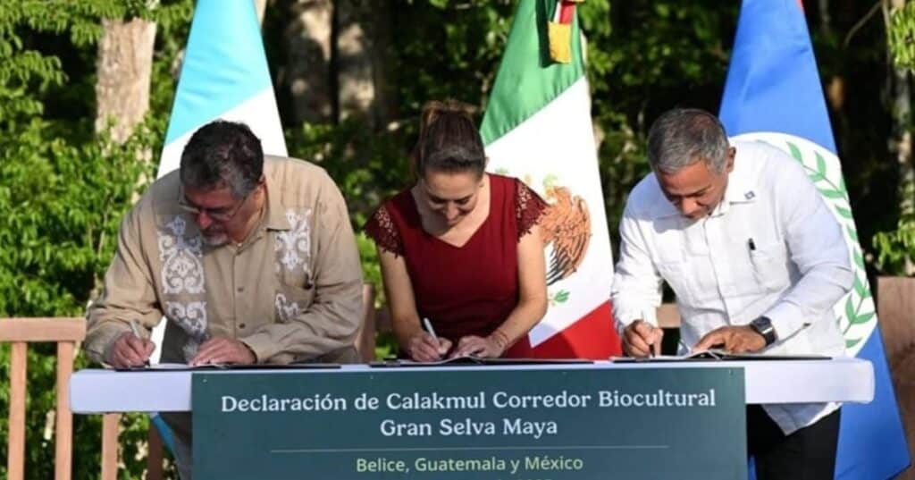 Gran reserva maya