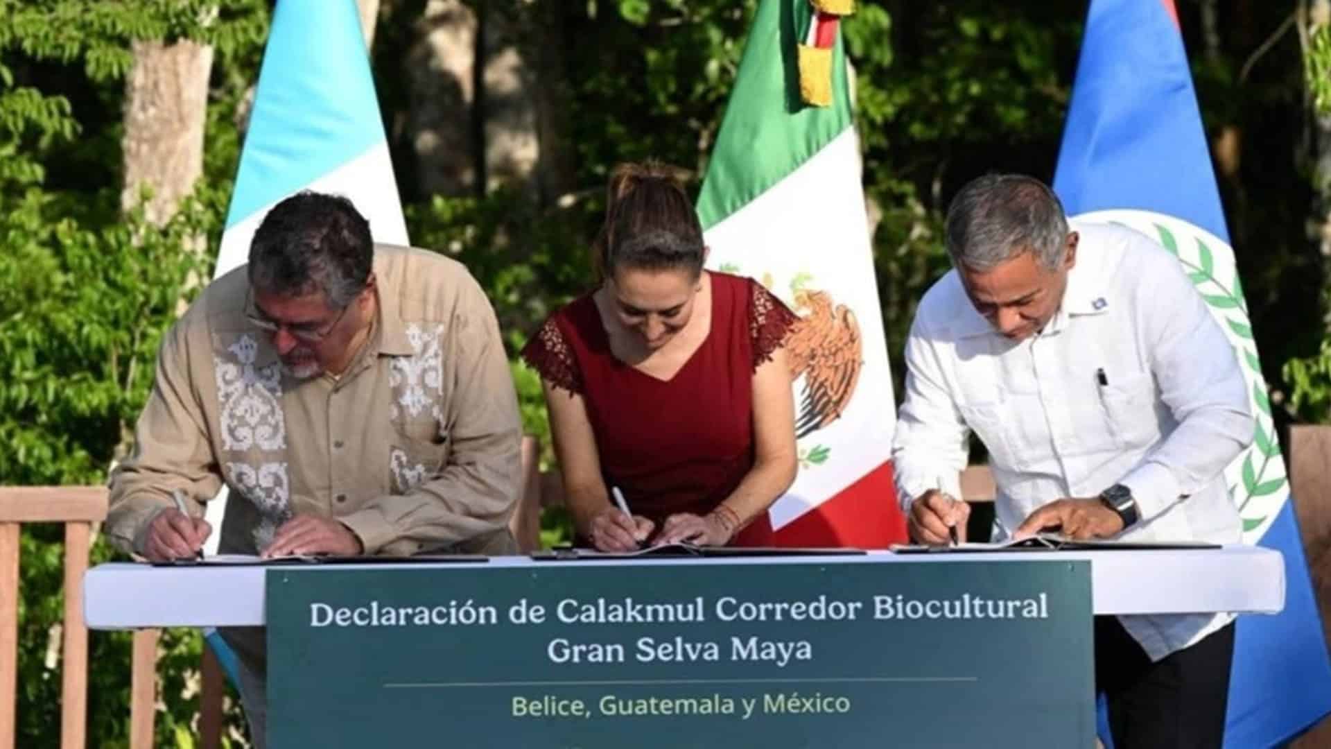Gran reserva maya