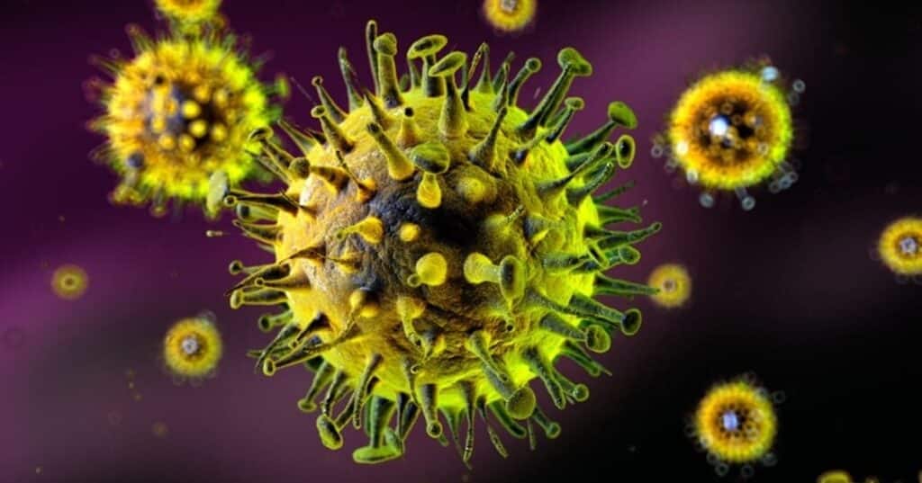 primer antiviral de amplio espectro