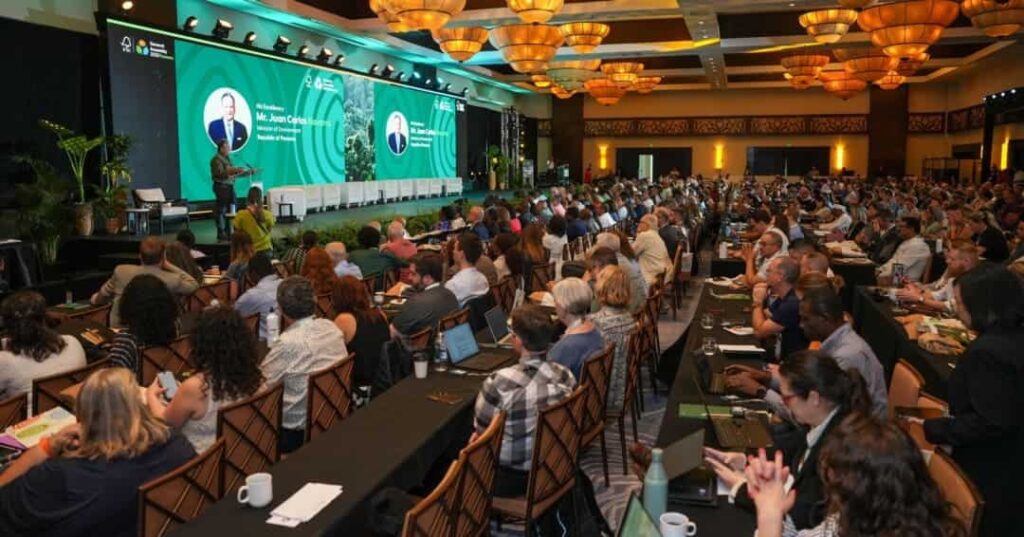 Forest Standarship Council 2 min