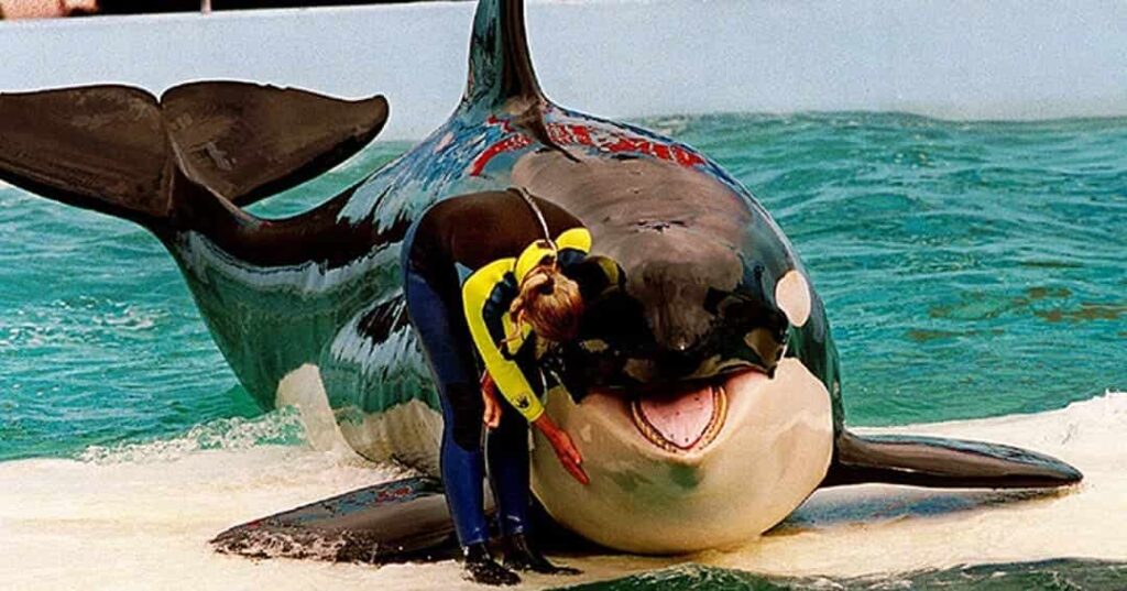 Miami Seaquarium