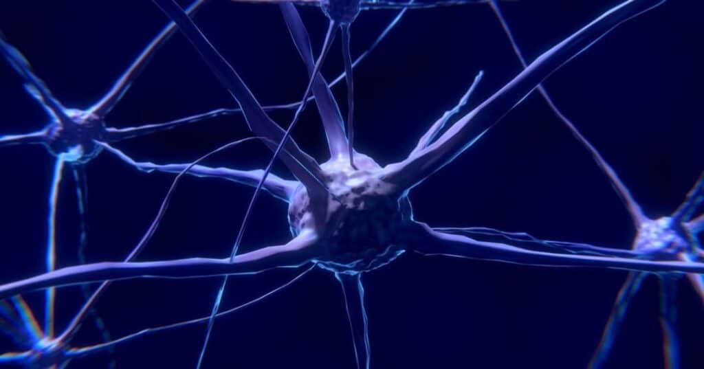 vínculo entre cerebro-intestino