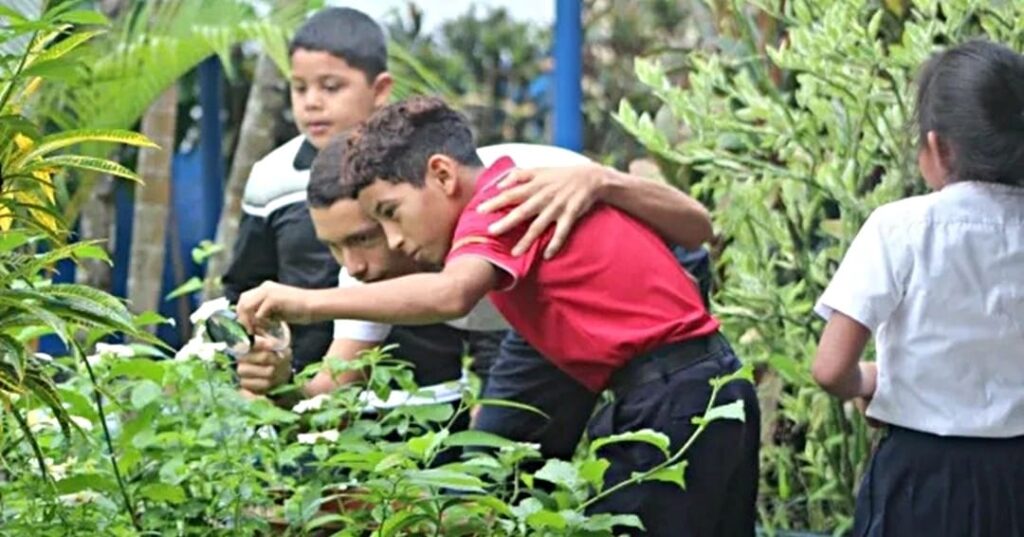 Educación para el Desarrollo Sostenible