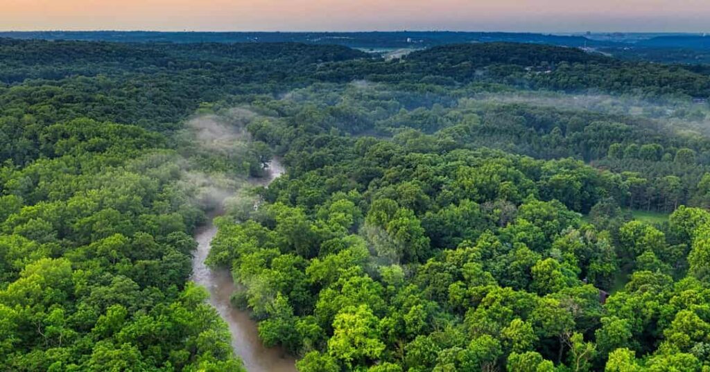 Amazonia libre de minería