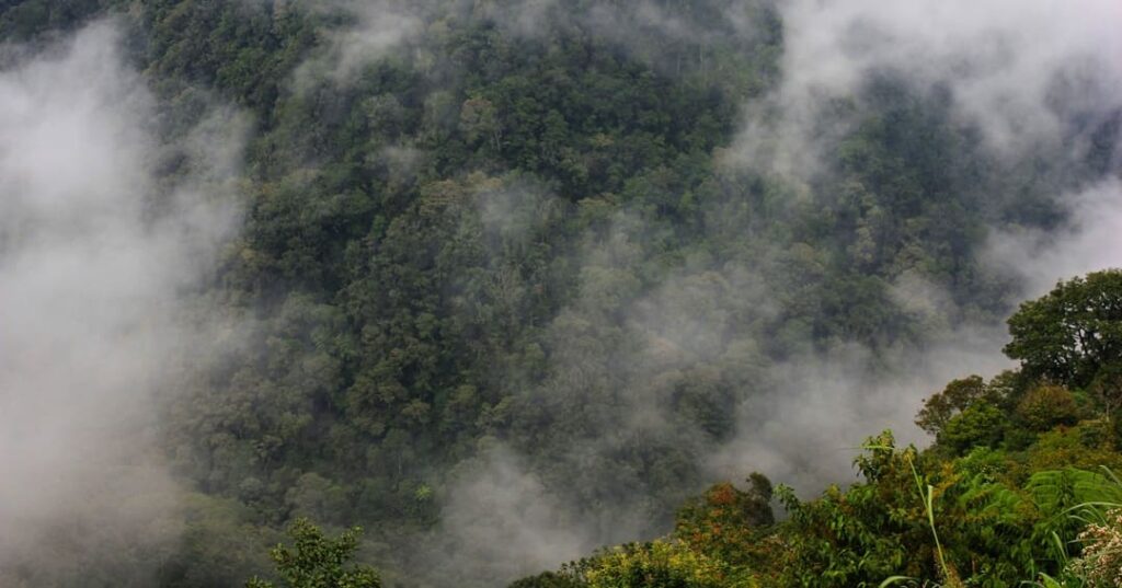 Amazonia libre de minería
