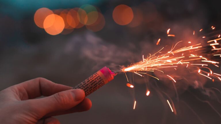 prohibición del uso de fuegos artificiales