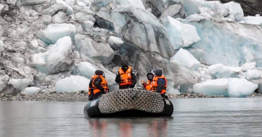 fiordos patagónicos australes