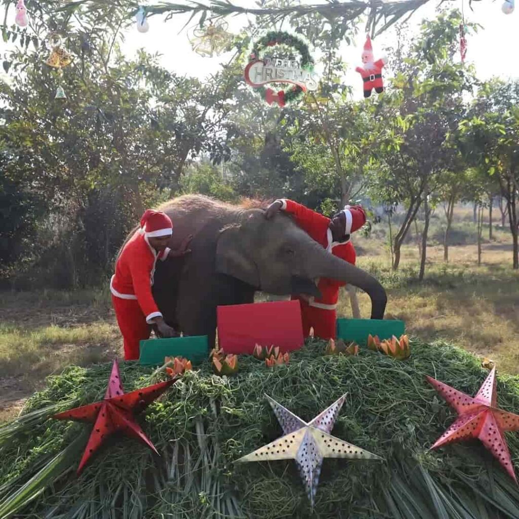 Bani