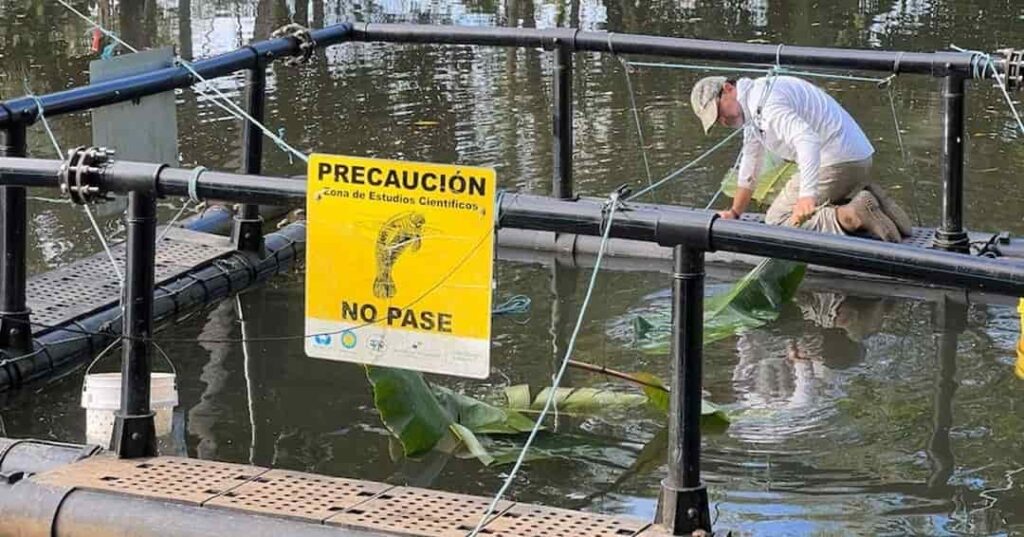 corredor ecológico binacional