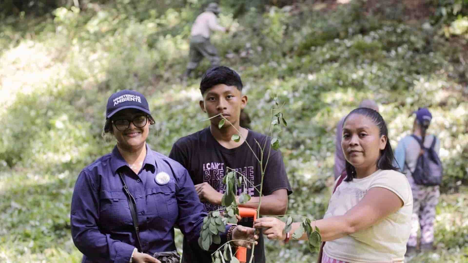 Salt Creek
