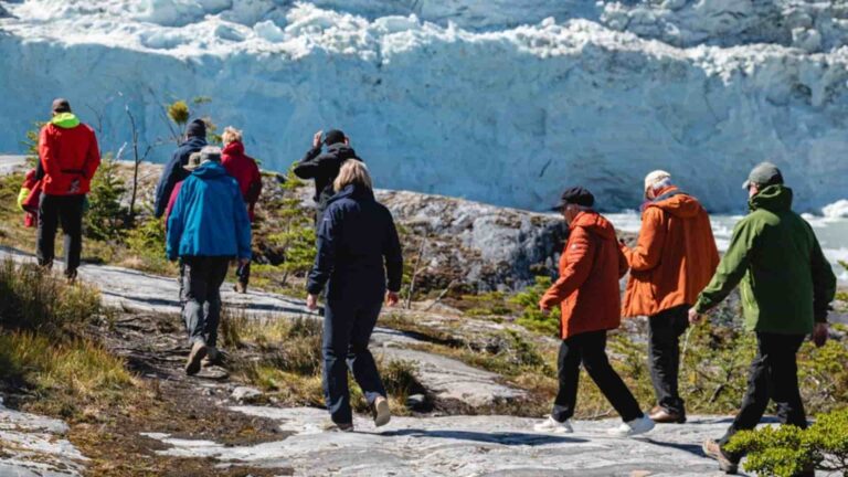 fiordos patagónicos australes