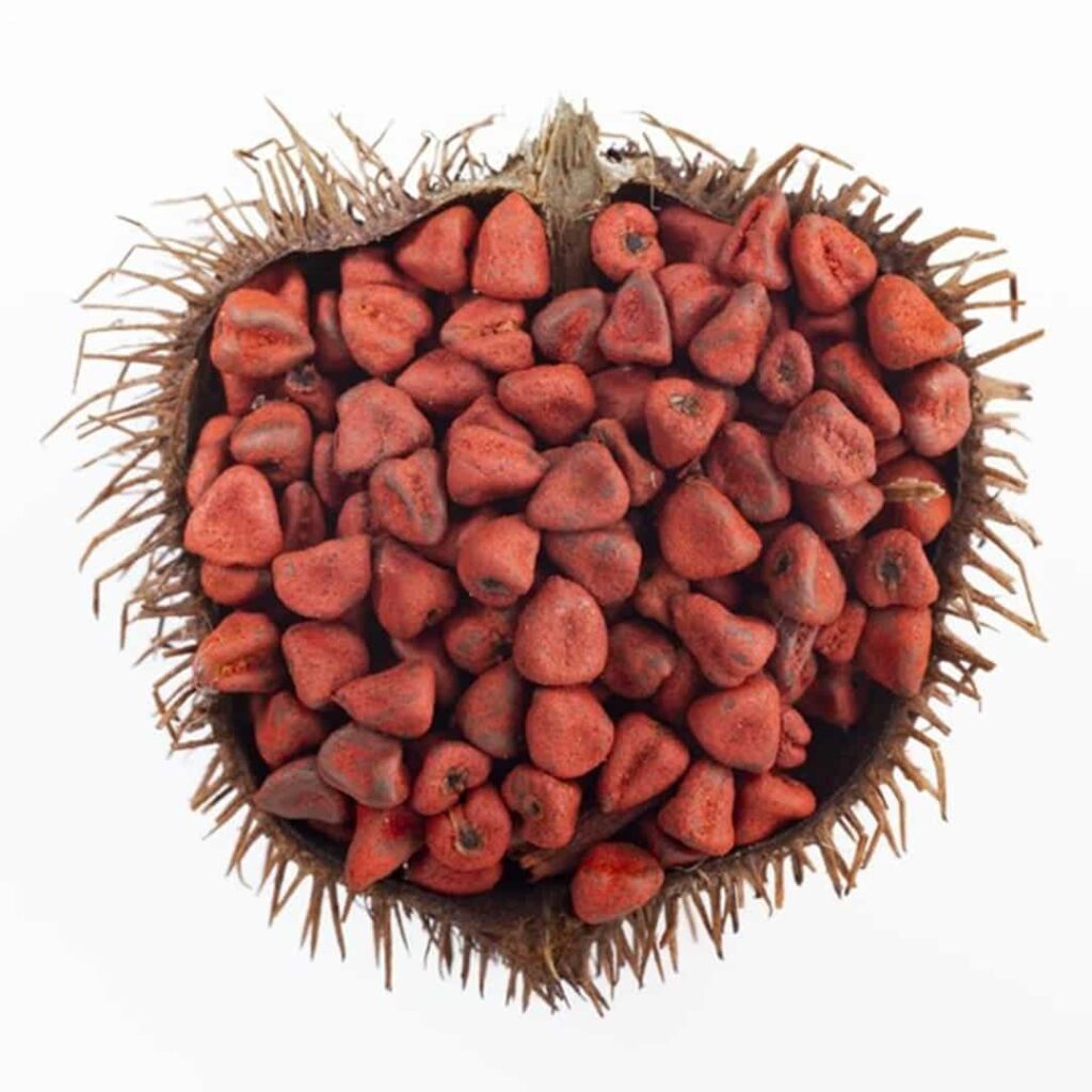 Achiote panameño