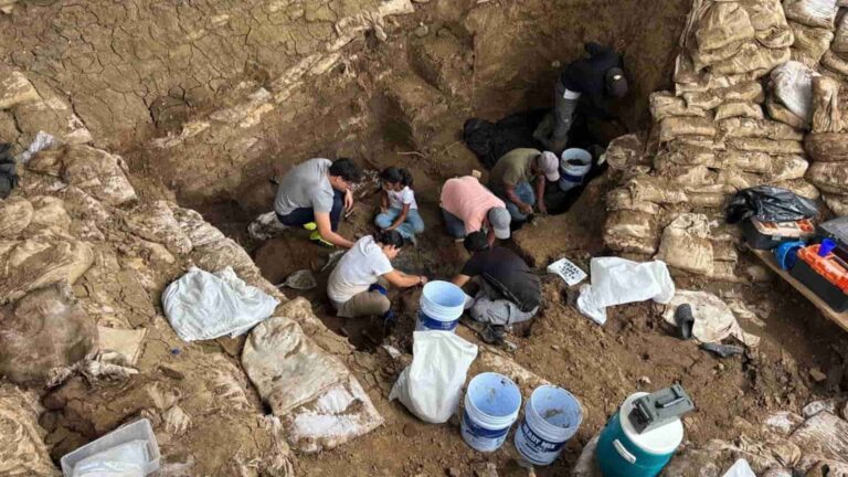 Excavaciones en El Caño