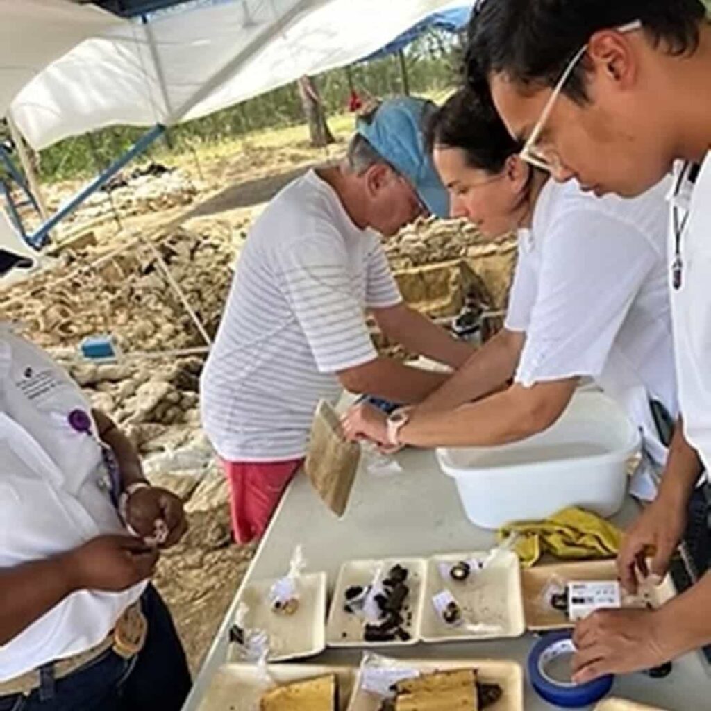 Excavaciones en El Caño