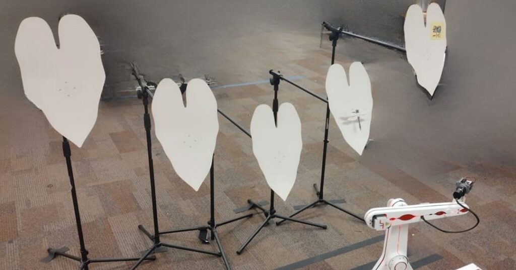 murciélago de orejas negras