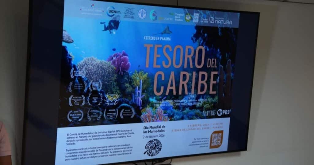 Tesoro del Caribe