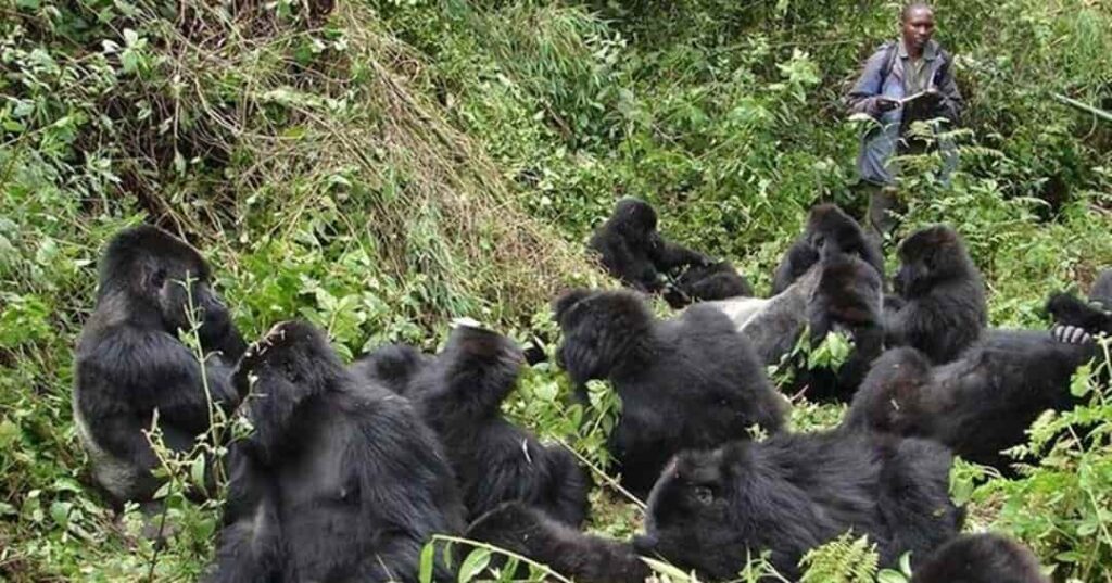 Turismo en Ruanda