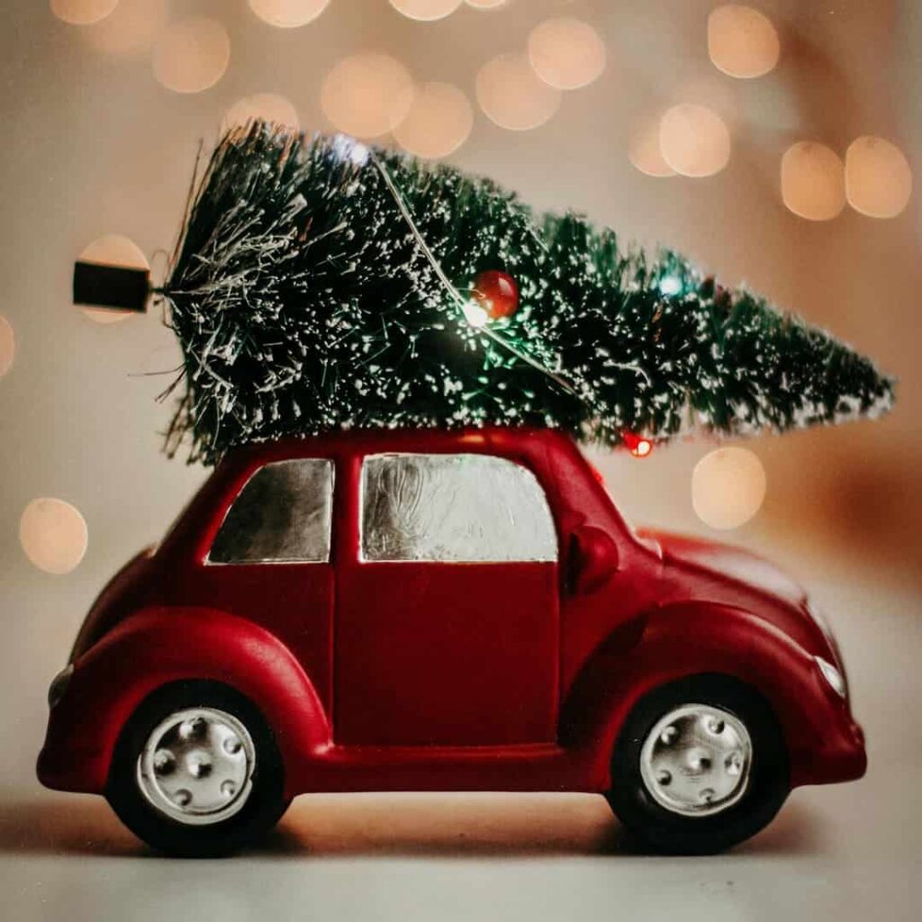 recolección de arbolitos navideños