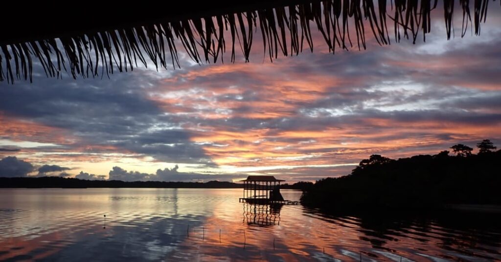 Caribbean Coral Restoration Center