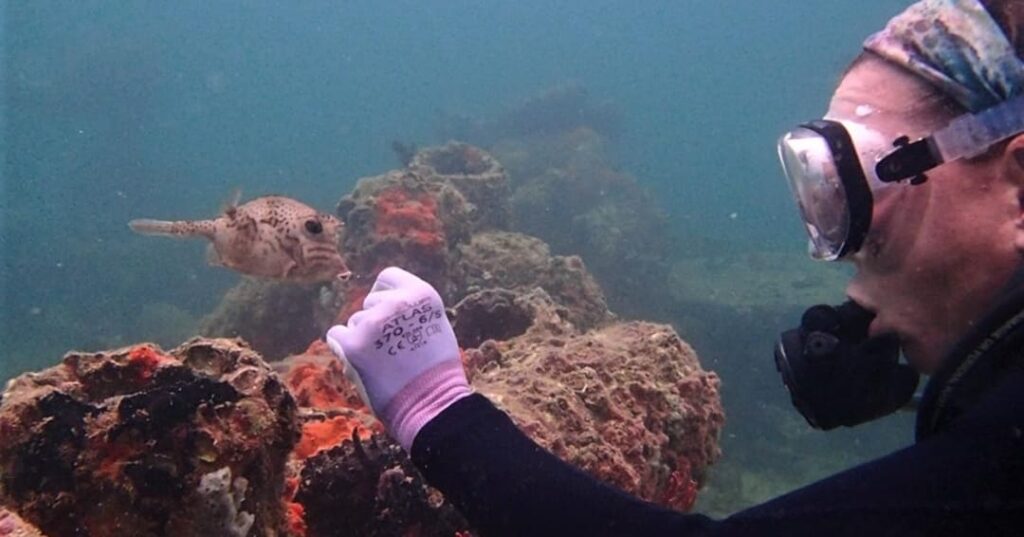 Caribbean Coral Restoration Center