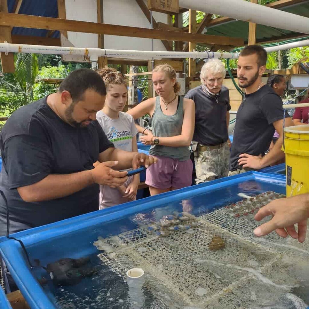Caribbean Coral Restoration Center