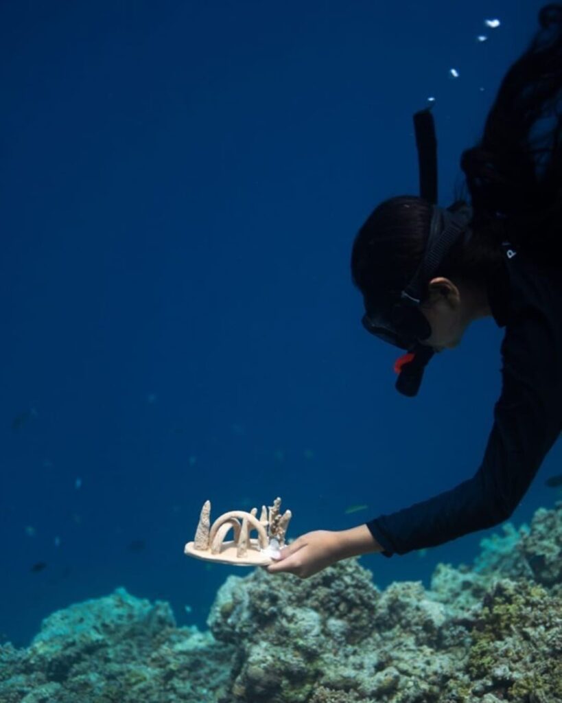 Crafting Coral