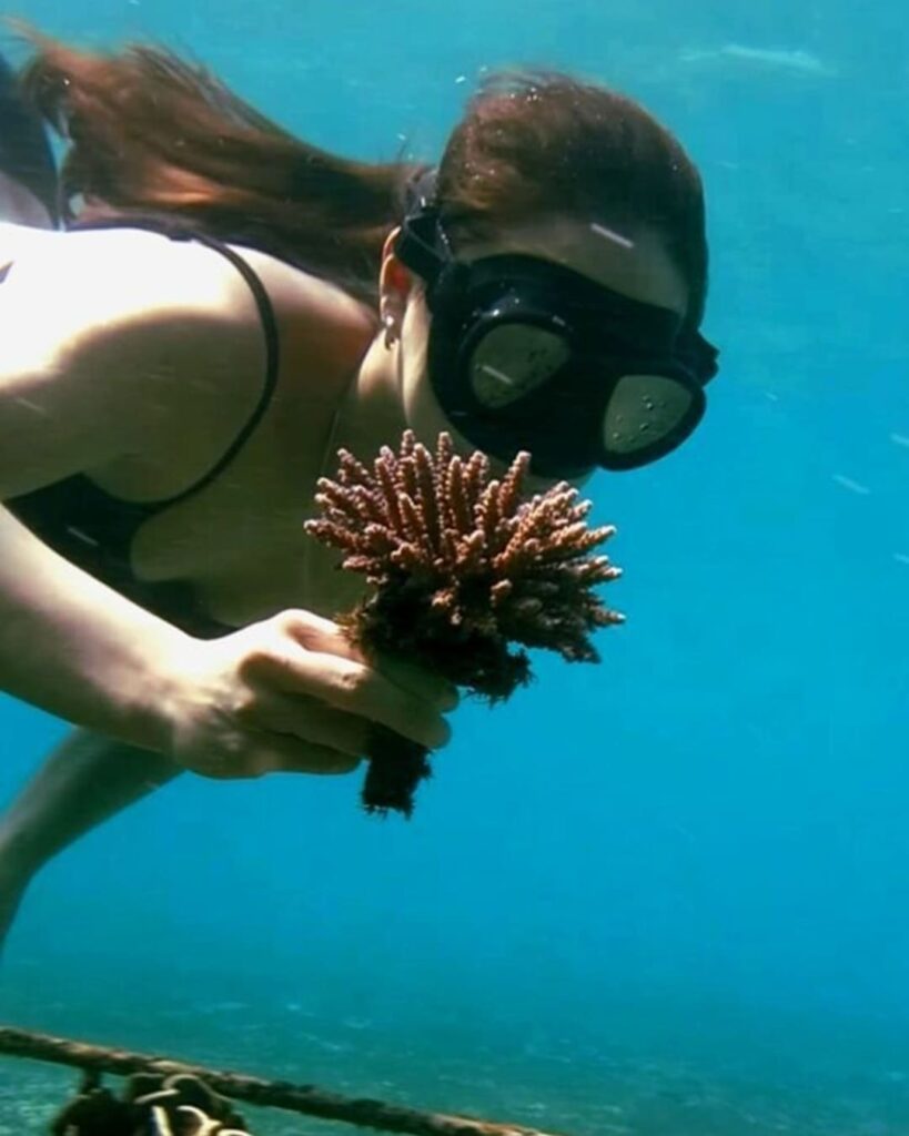 Crafting Coral