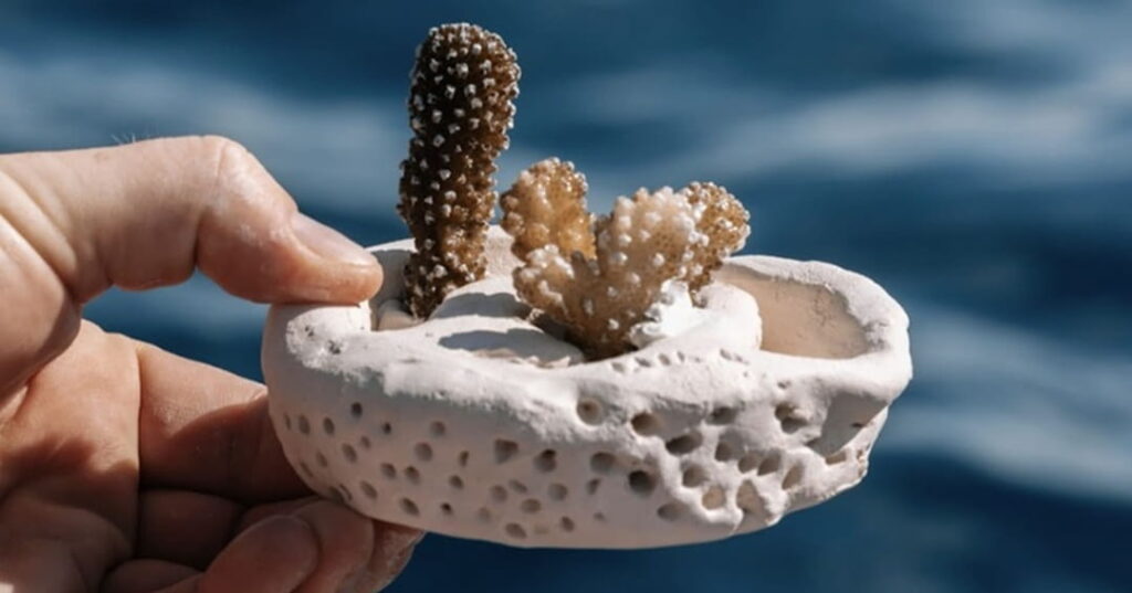 Crafting Coral