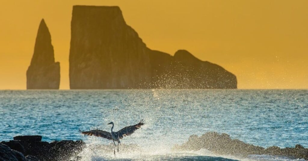 Galapagueños que Protegen el Ecosistema de las Islas