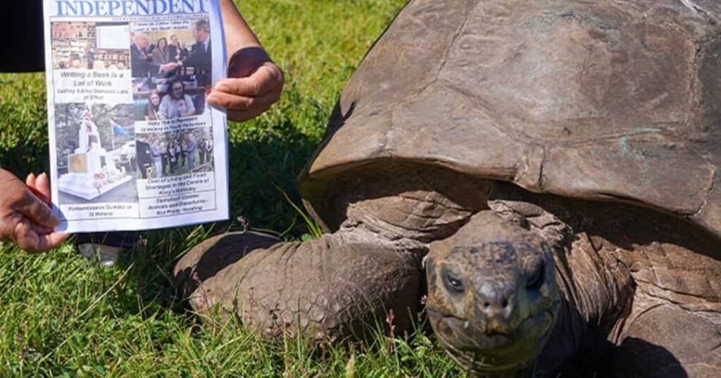 Jonathan la tortuga más longeva del mundo