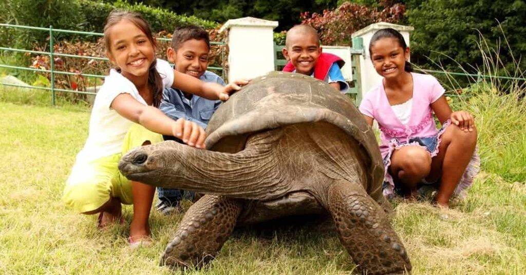 Jonathan la tortuga más longeva del mundo