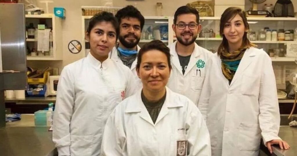 terapia fotodinámica para eliminar el VPH
