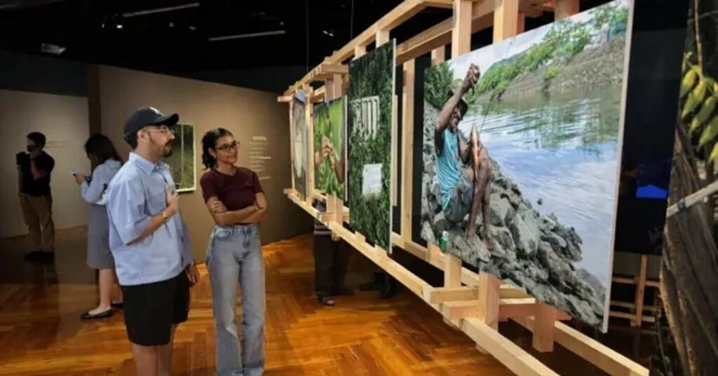 exposición El jardín de Mr. Brown