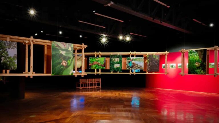 exposición El jardín de Mr. Brown