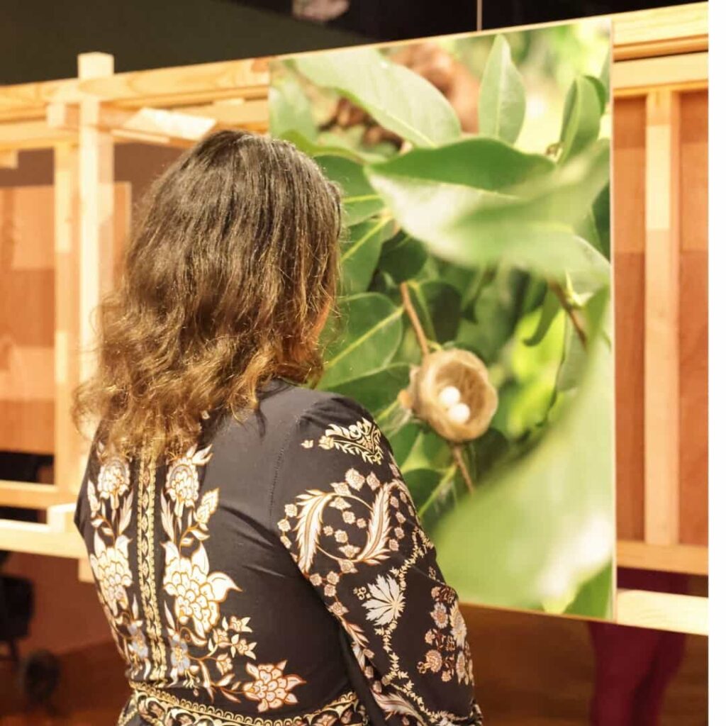 exposición El jardín de Mr. Brown