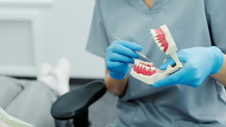 regeneración dental con fármaco y parche de microagujas