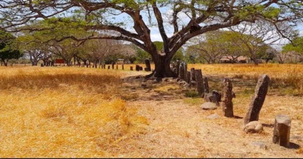 tumba de oro prehispánica hallada en El Caño
