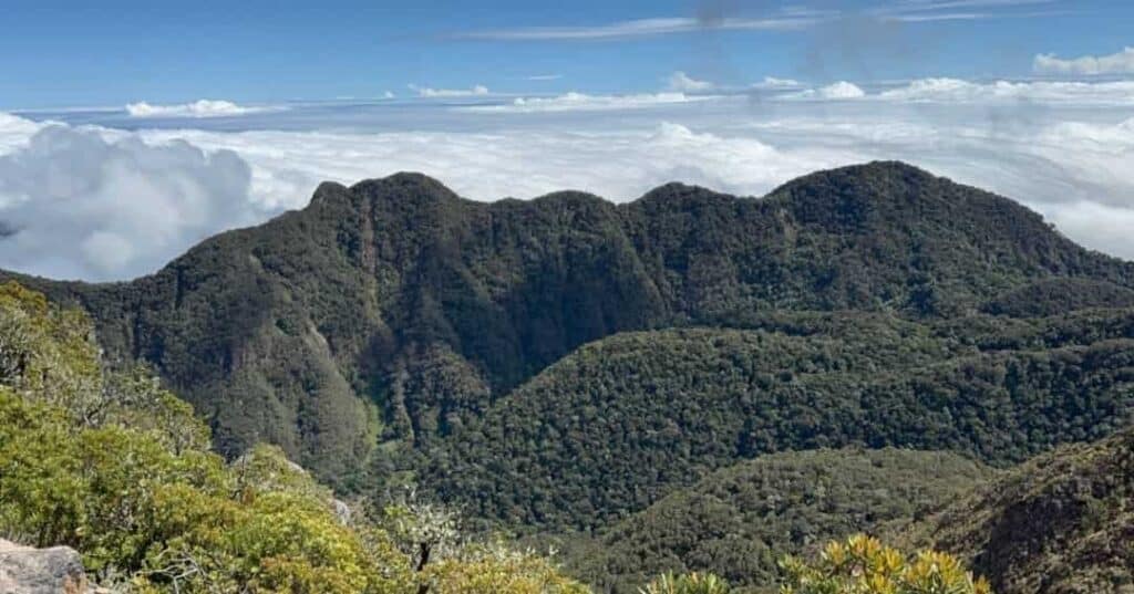 Sede regional del Fondo Verde para el Clima